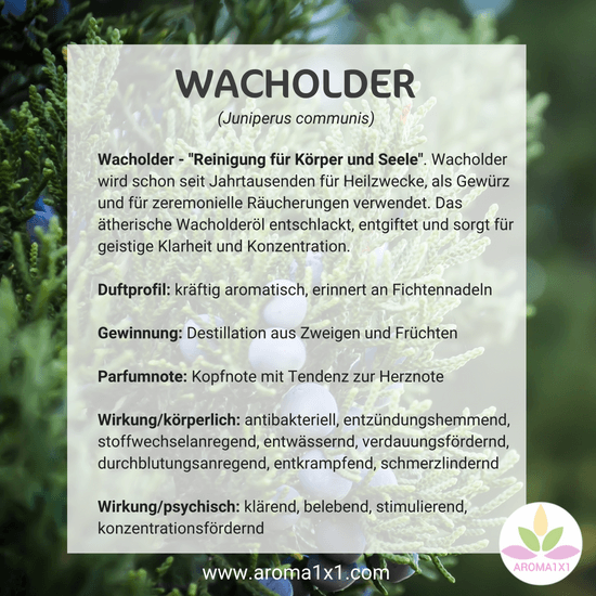 Wacholder ätherisches Öl Profil