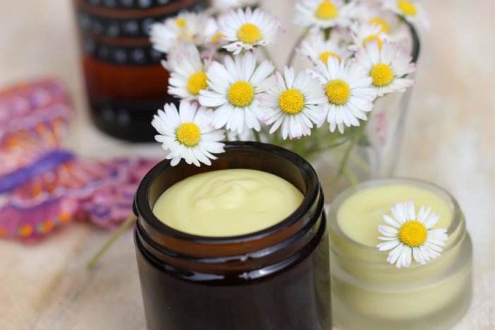 Gänseblümchencreme selbermachen Rezept