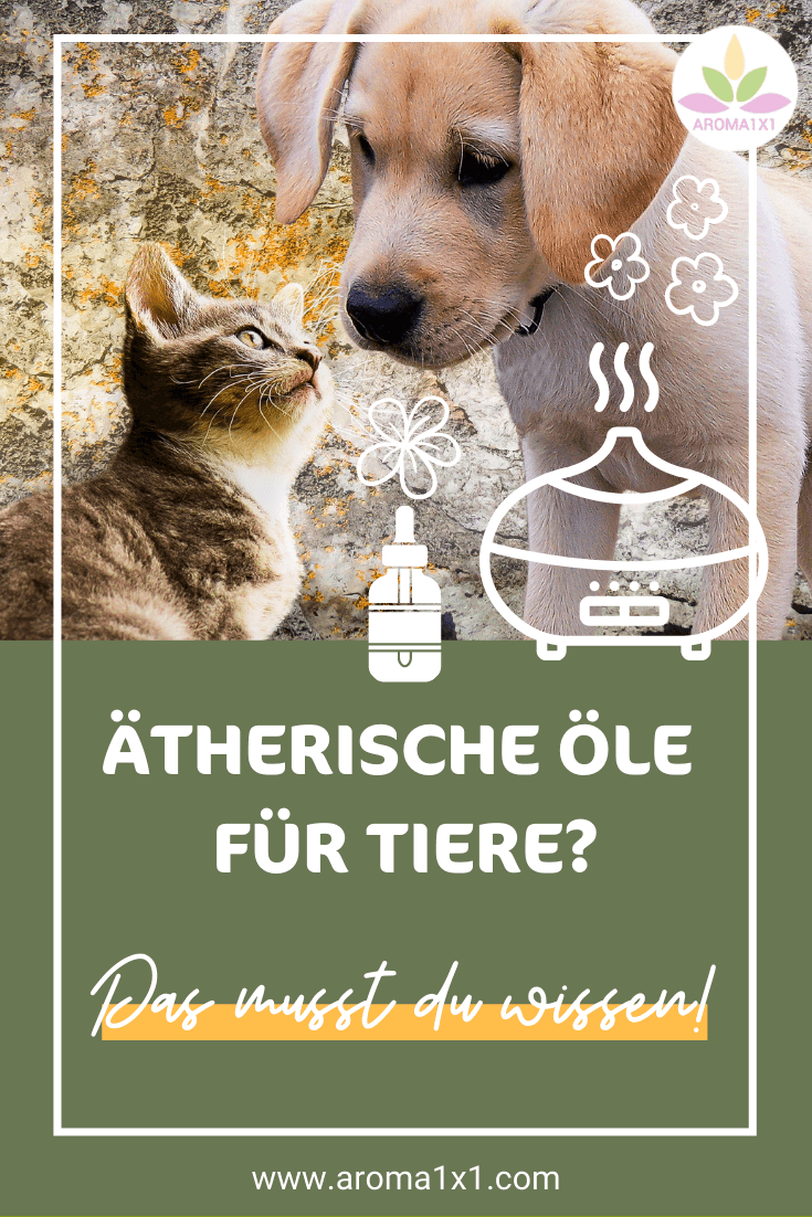 ätherische Öle für Tiere anwenden