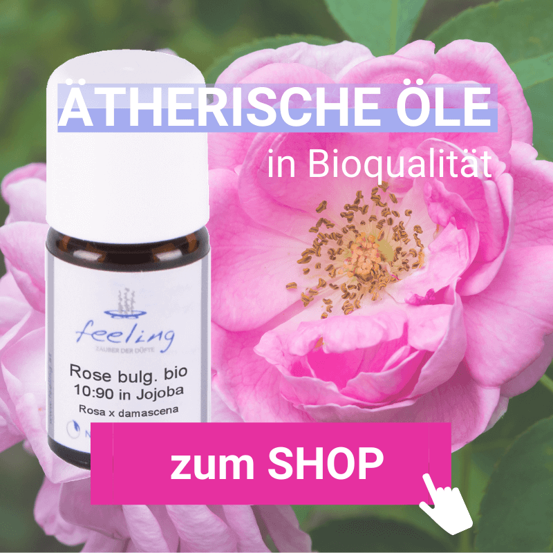 Rosenöl ätherisch bulgarisch bio in Jojobaöl