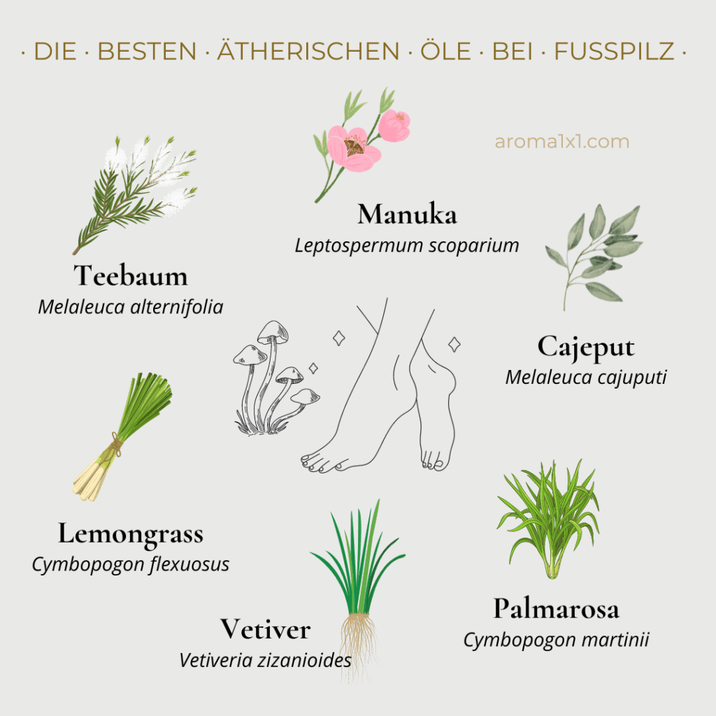 die besten ätherischen Öle bei Fußpilz aroma1x1