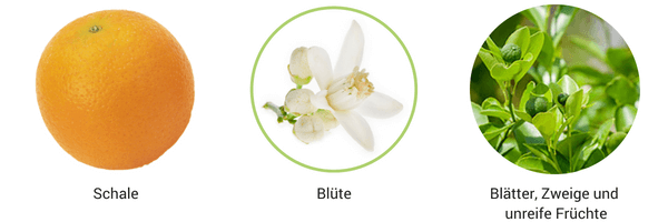 ätherische Öle Qualität
