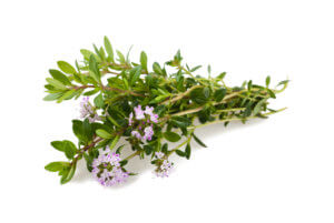 ätherische Öle Chemotyp