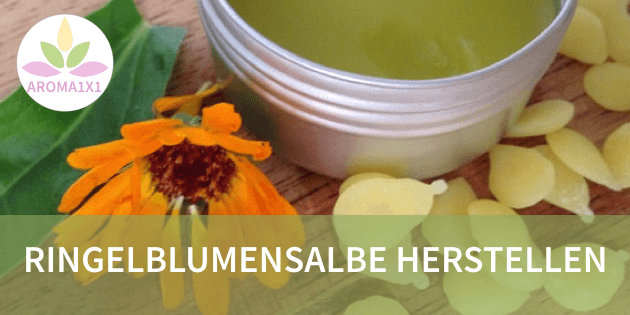 Ringelblumensalbe selber herstellen