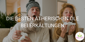 Die besten ätherischen Öle bei Erkältungen