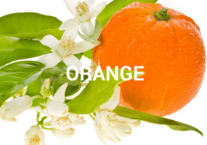 Orangenöl
