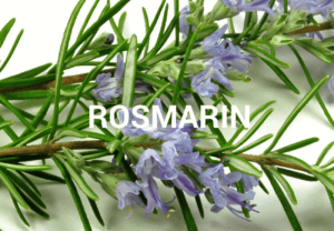 Rosmarinöl