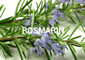 Rosmarinöl