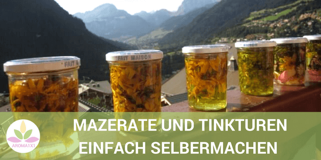 Mazerate selbermachen