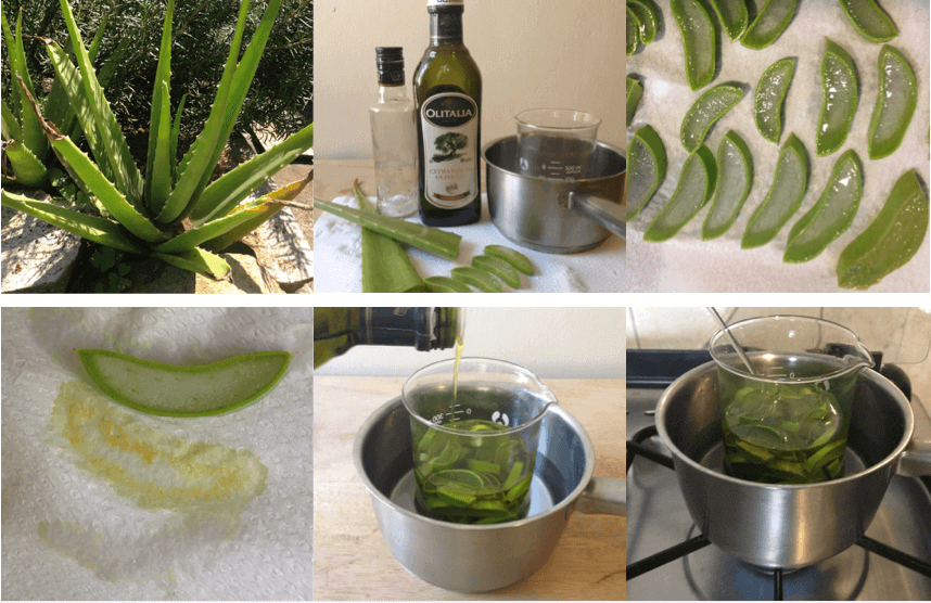 Aloe-Vera-Öl (Mazerat) selbermachen