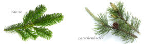 Aromatherapie Grundausstattung