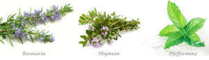 Aromatherapie Grundausstattung