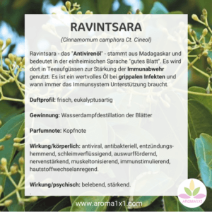 Ravintsara ätherisches Öl gegen VIren