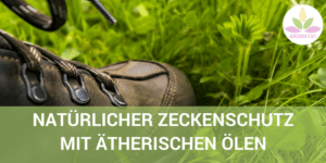 Kokosöl und ätherische Öle gegen Zecken