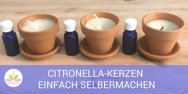 Citronella Kerzen selbermachen