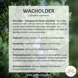 Wacholder ätherisches Öl Profil