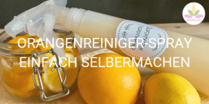 Orangenreiniger Spray selber machen