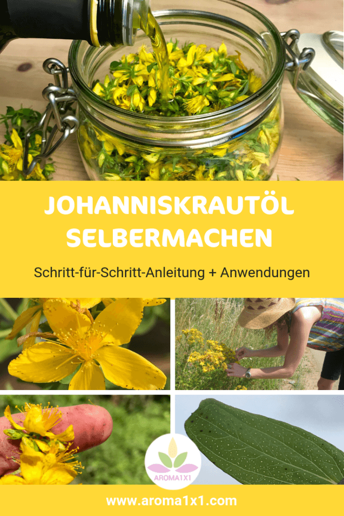 Johanniskrautöl selbermachen