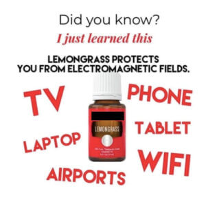 Ätherische Öle schützen vor Strahlung