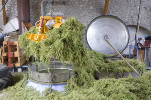 Destillation von ätherischen Ölen