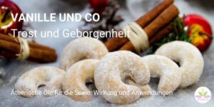 ätherische Öle für die Seele Vanille wirkt tröstend