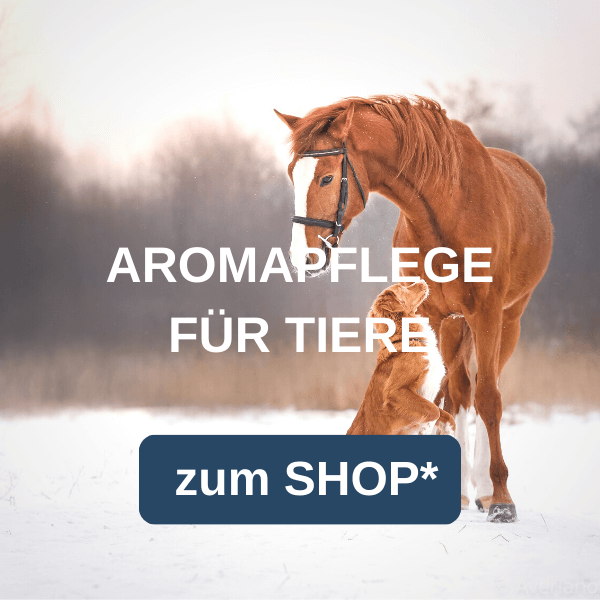 Aromapflege für Tiere bei feeling