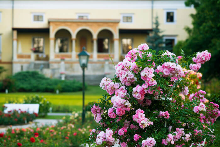Aromareisen Rosengärten Rosarium Baden bei Wien