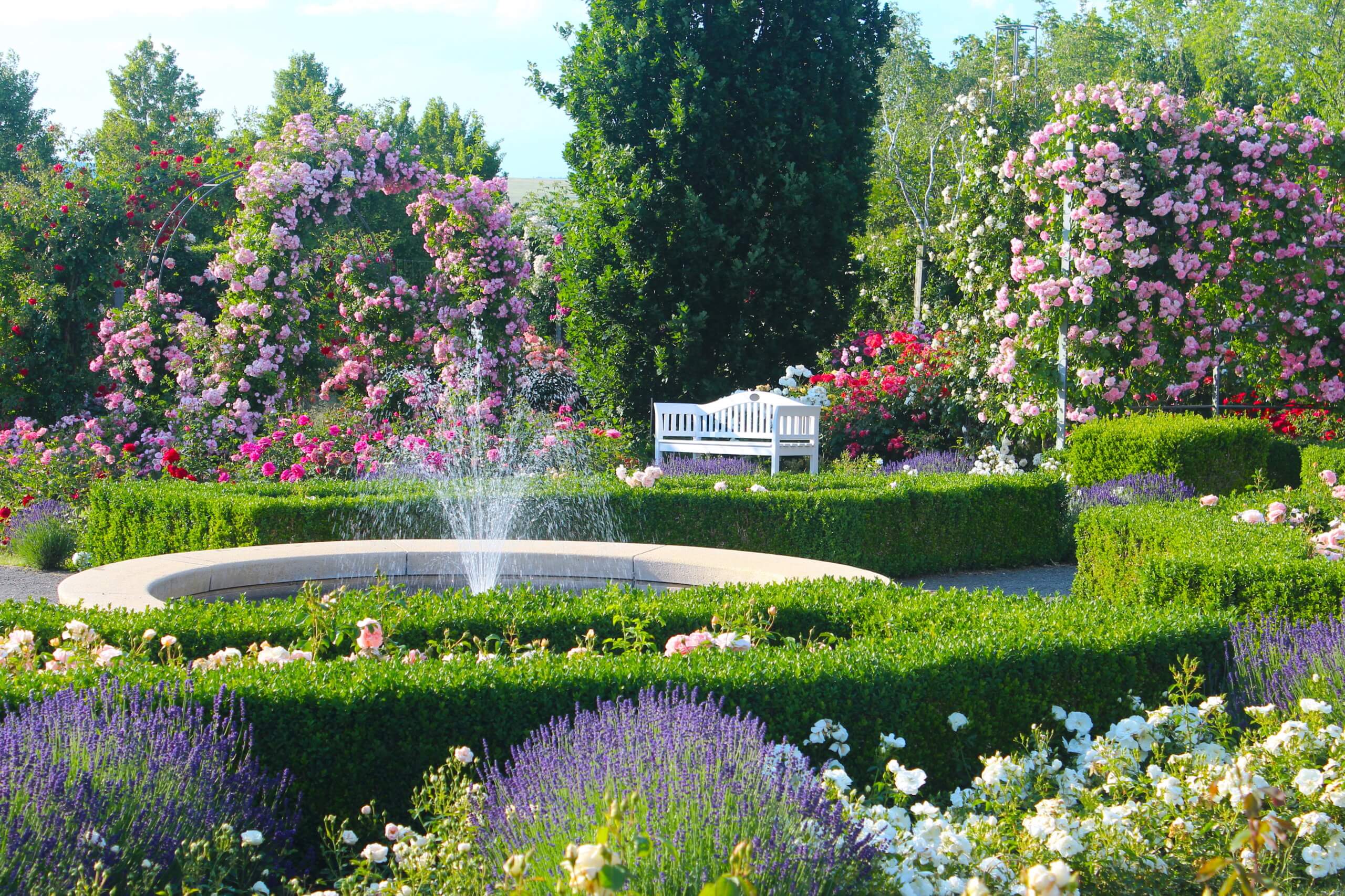 Europa Rosarium Sangerhausen