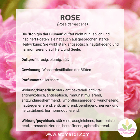 Rosenöl Wirkung Profil