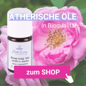 Rosenöl ätherisch bulgarisch bio in Jojobaöl