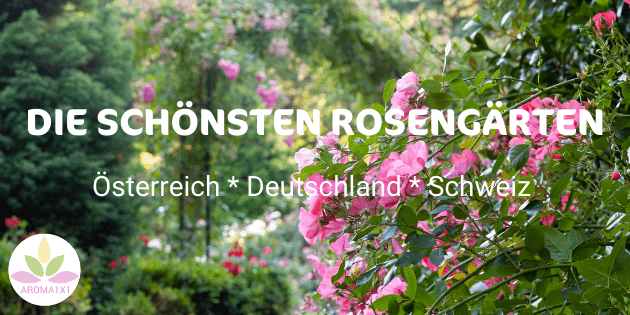 die schönsten Rosengärten