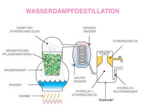 Hydrolat Herstellung