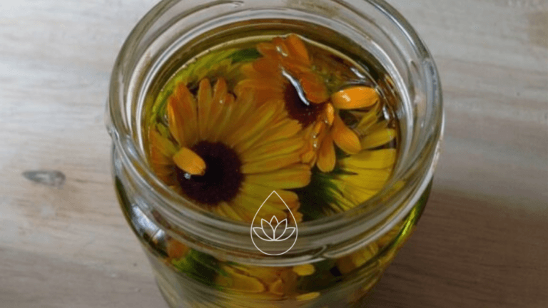 RINGELBLUMENSALBE SELBER HERSTELLEN – SO GEHT’S!