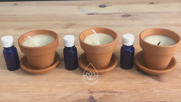 CITRONELLA-KERZEN GEGEN MÜCKEN SELBERMACHEN